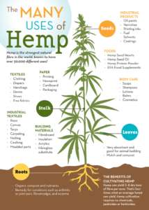 Hemp Comes to Indian Country: Is Your Tribe Ready?